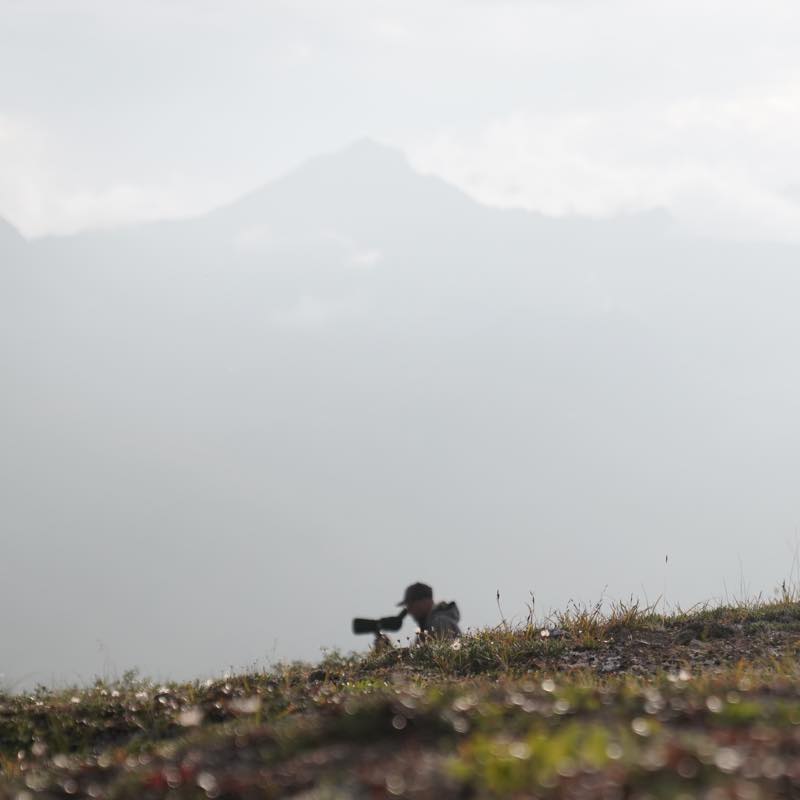 Photographer silhouette with long lens on grassy hill, misty mountain background.
