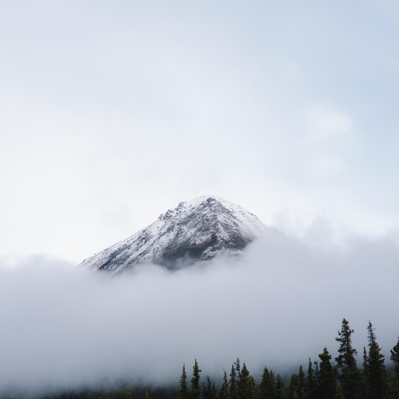 Snow-capped mountain peak in fog above dark trees.