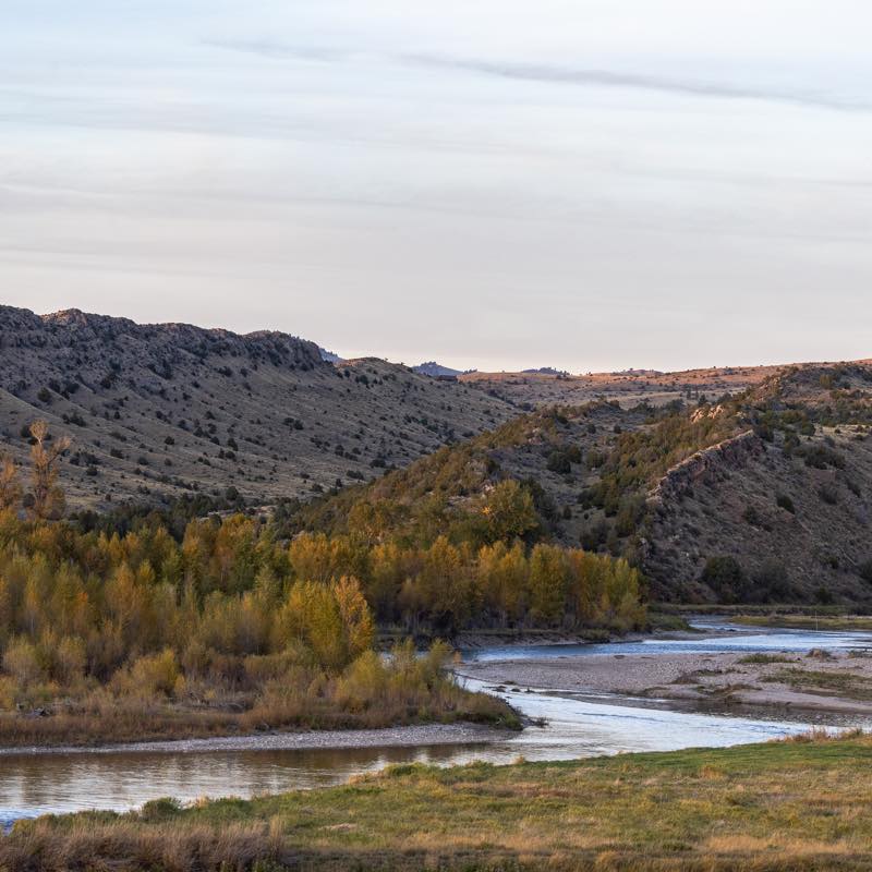 Autumn landscape with a winding river, golden trees, and dry, rolling hills under a grey sky.