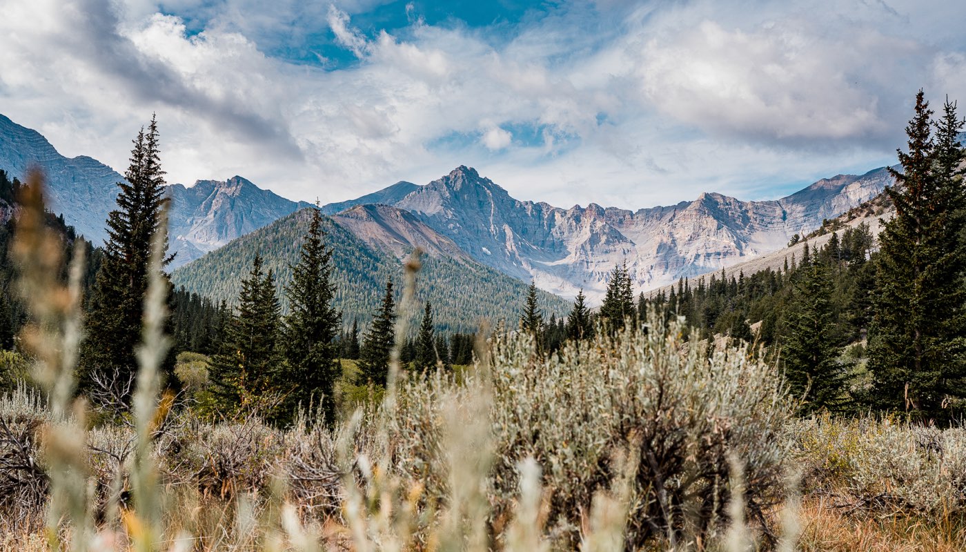 Men's Sawtooth Hybrid Vest | First Lite