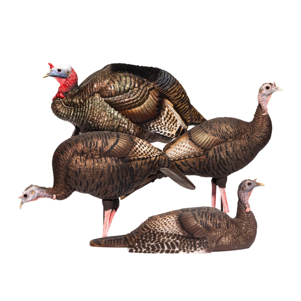 Four realistic brown turkey decoys: 1 tom, 2 standing hens, 1 lying hen.