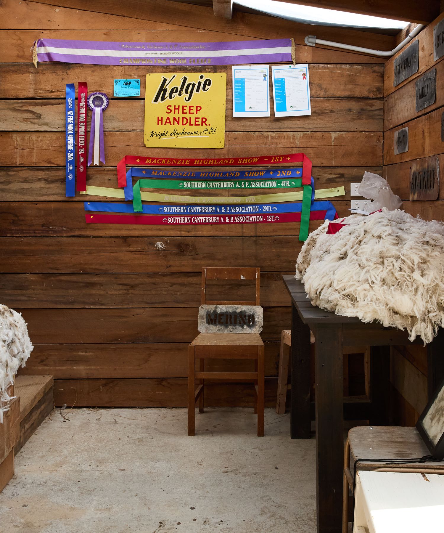 Shearing shed with large pile of dirty cream raw wool, colorful ribbons, and signs on wooden walls.