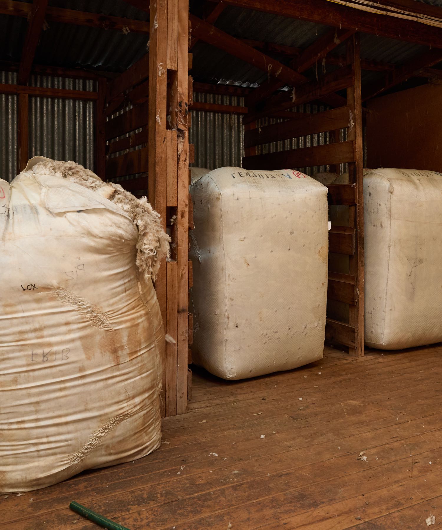 Large, open off-white wool bag with raw wool next to two compressed bales in a rustic shed.